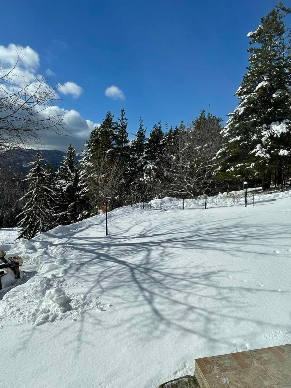Cassiopea Villas Pamporovo Exteriör bild
