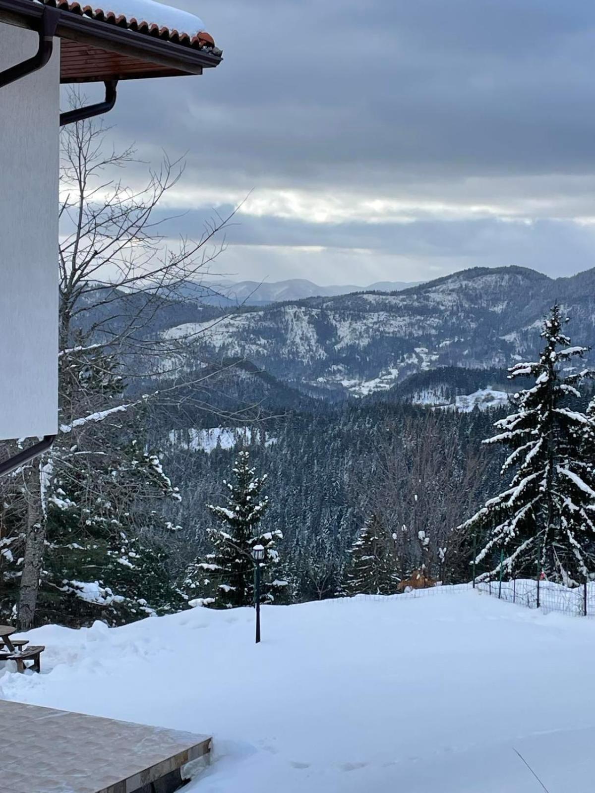 Cassiopea Villas Pamporovo Exteriör bild
